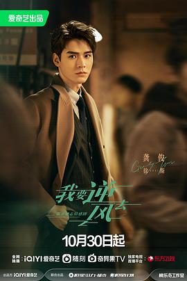 花溪区网站优化公司